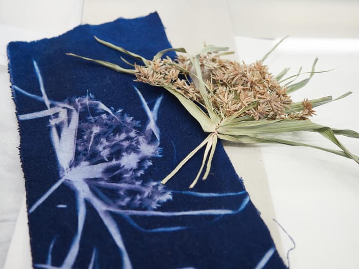 Illustration de l'événement : Fabrique de Cyanotype