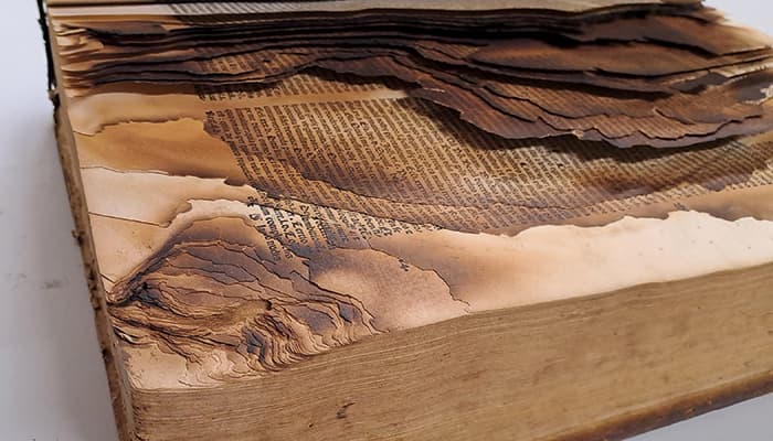 Illustration de l'événement : Les livres moches du Patrimoine