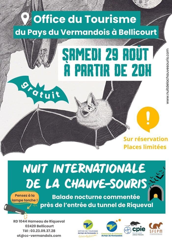 Illustration de l'événement : Nuit Internationale de la Chauve-Souris à Bellicourt