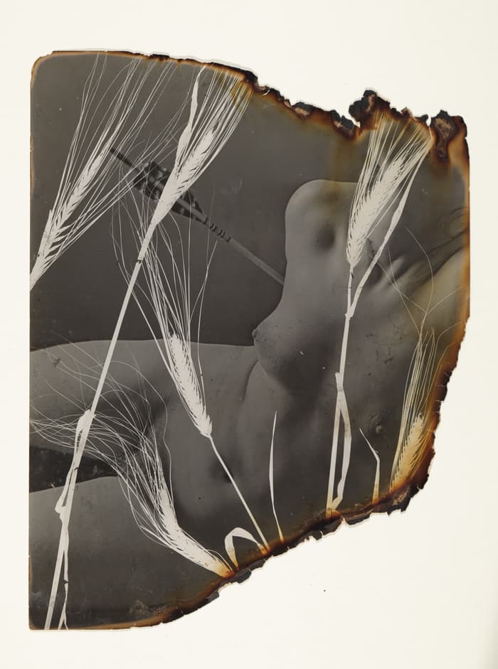 Illustration de l'événement : Exposition de Pierre Jahan, A Retrospective - Galerie Jean-François Cazeau