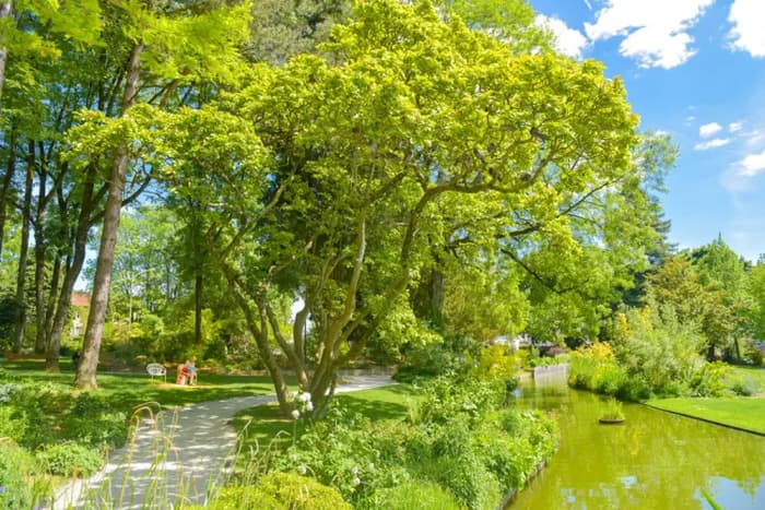 Illustration de l'événement : Balade au parc Victor-Thuillat
