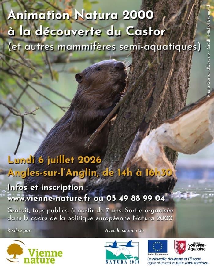 Illustration de l'événement : Animation Natura 2000 à la découverte du Castor (et autres mammifères semi-aquatiques)