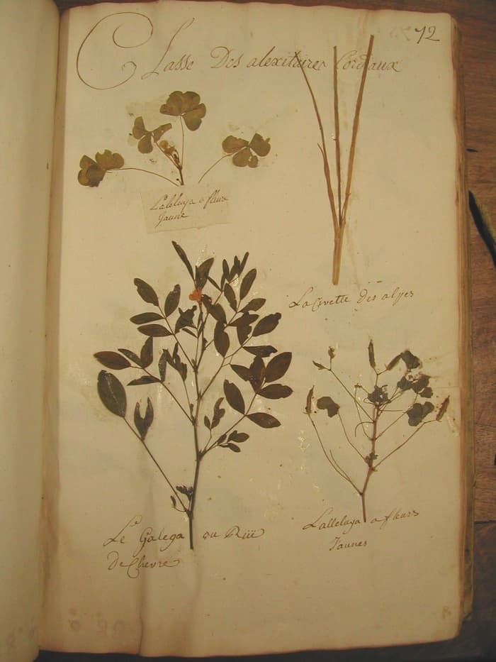 Illustration de l'événement : Visite guidée du fonds ancien