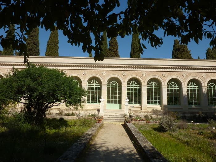 Illustration de l'événement : À la découverte du jardin des plantes de Montpellier