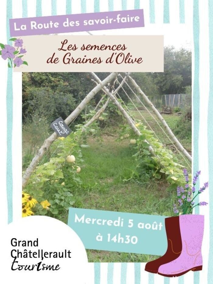 Illustration de l'événement : Les semences de Graines d'Olive