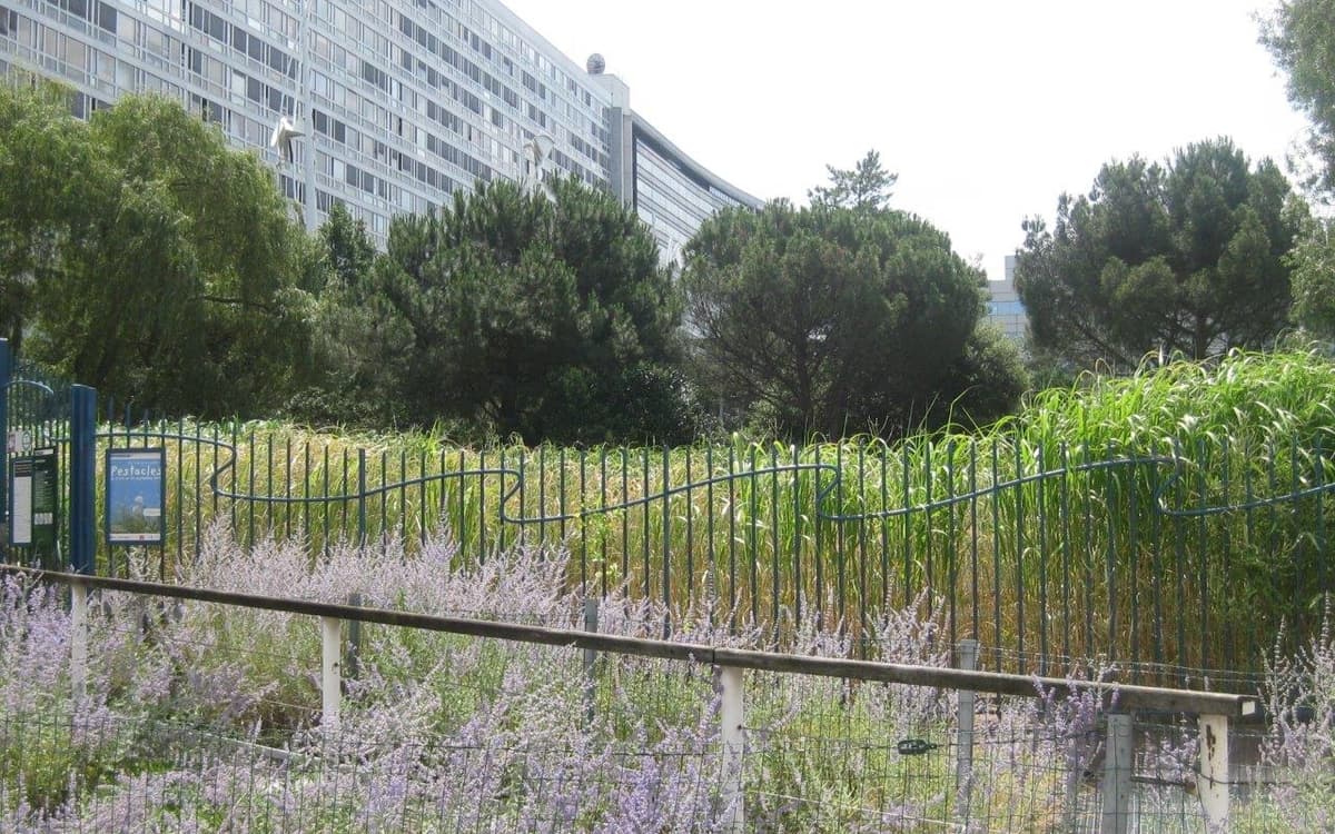 Illustration de l'événement : Le jardin Atlantique