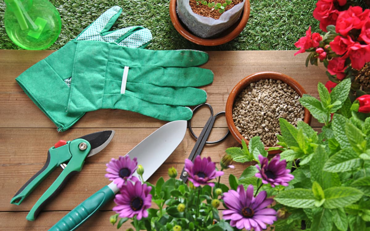Illustration de l'événement : Rendez-vous au jardin !