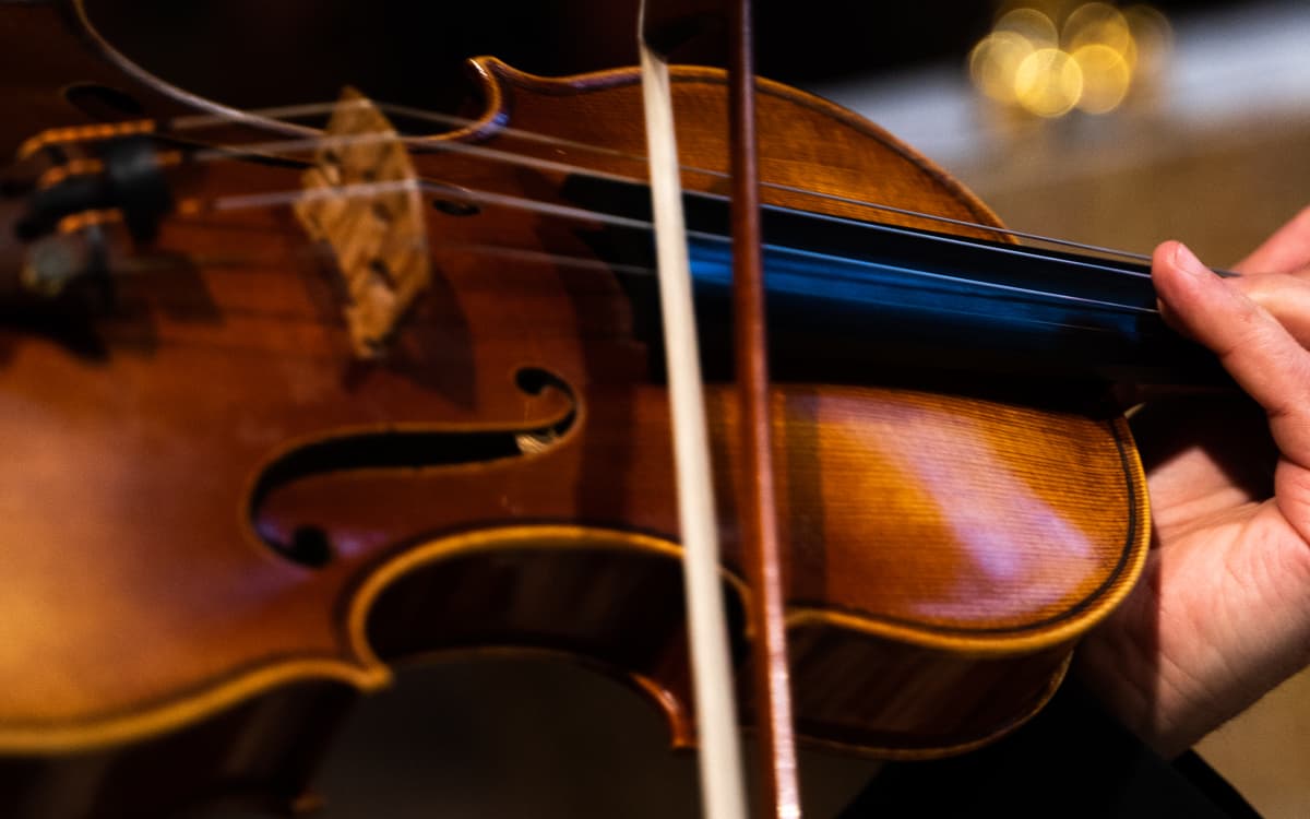 Illustration de l'événement : Les 4 saisons de Vivaldi intégrale & Petite Musique de Nuit de Mozart