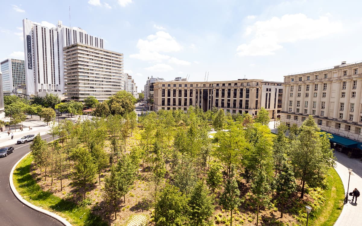 Illustration de l'événement : Visite de la place de Catalogne: d'un rond-point minéral à une forêt urbaine