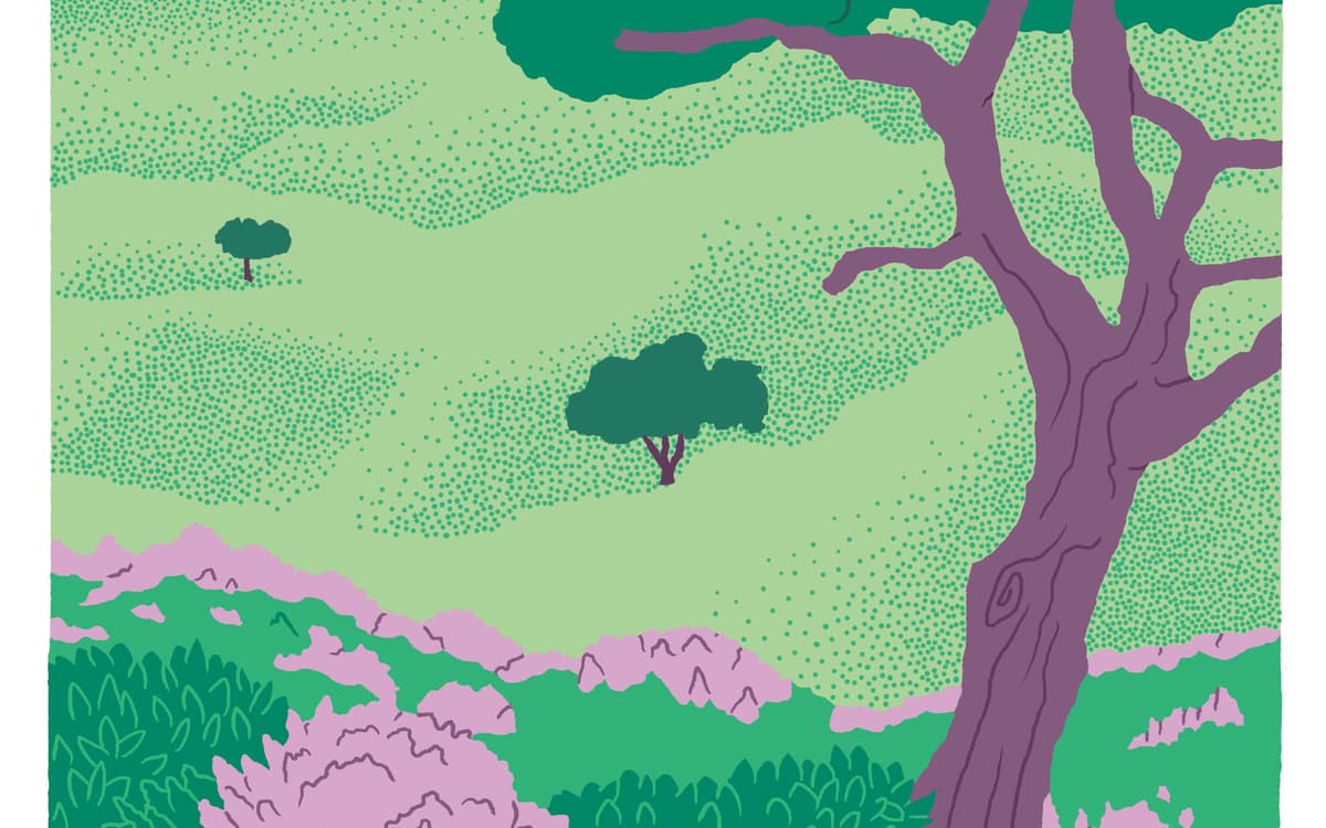 Illustration de l'événement : Festival Un Temps pour Elles : SOUS LES ARBRES