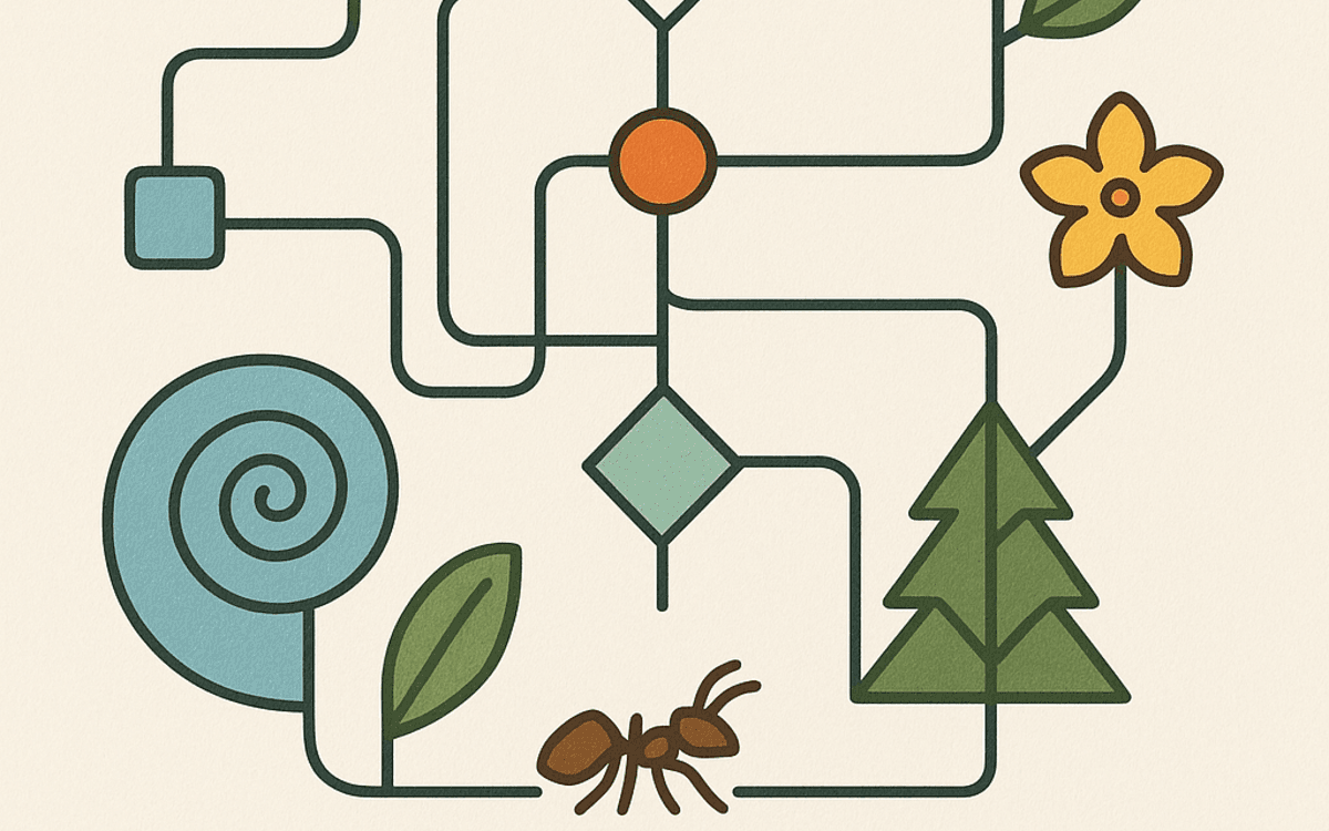 Illustration de l'événement : Des algorithmes inspirés de la nature
