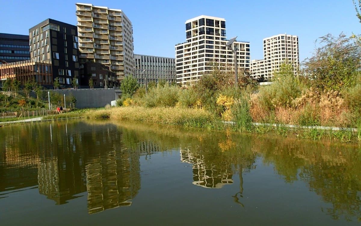 Illustration de l'événement : Visite du square des Batignolles au Parc Martin Luther King