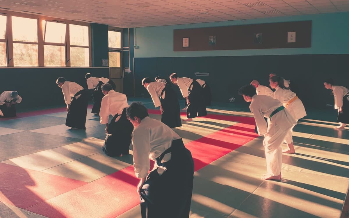 Illustration de l'événement : Dojo d'été Aïkido