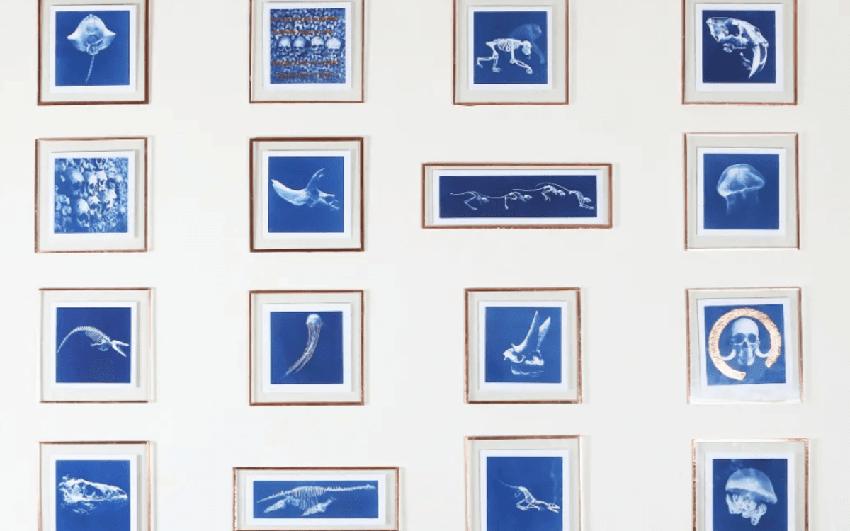 Illustration de l'événement : Exposition - Soraya Meunier