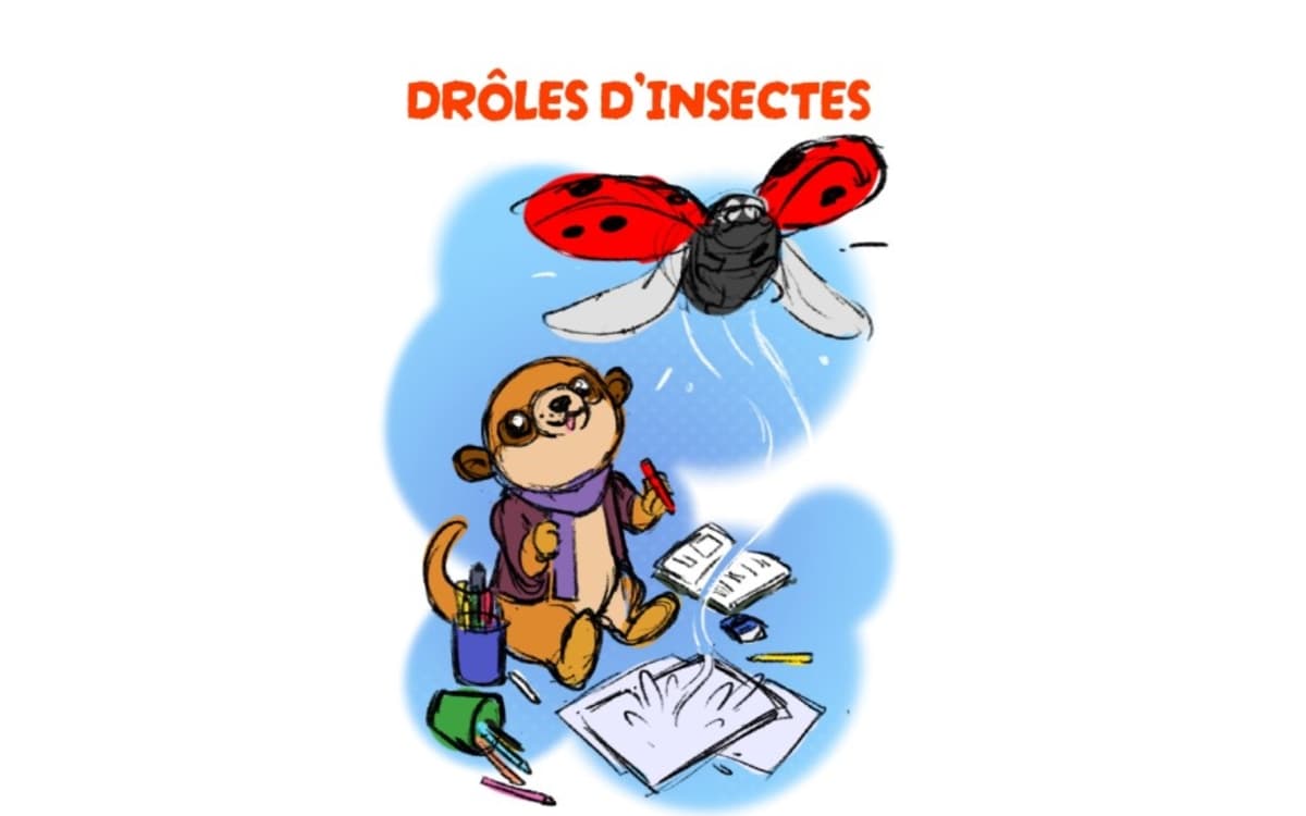 Illustration de l'événement : Exposition "Drôles d'insectes" de Kei