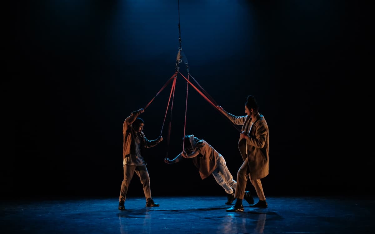 Illustration de l'événement : Un spectacle de sangles aériennes sous chapiteau