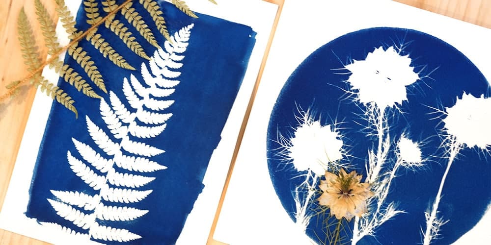 Illustration de l'événement : Les mardis de l'été « Atelier cyanotype »
