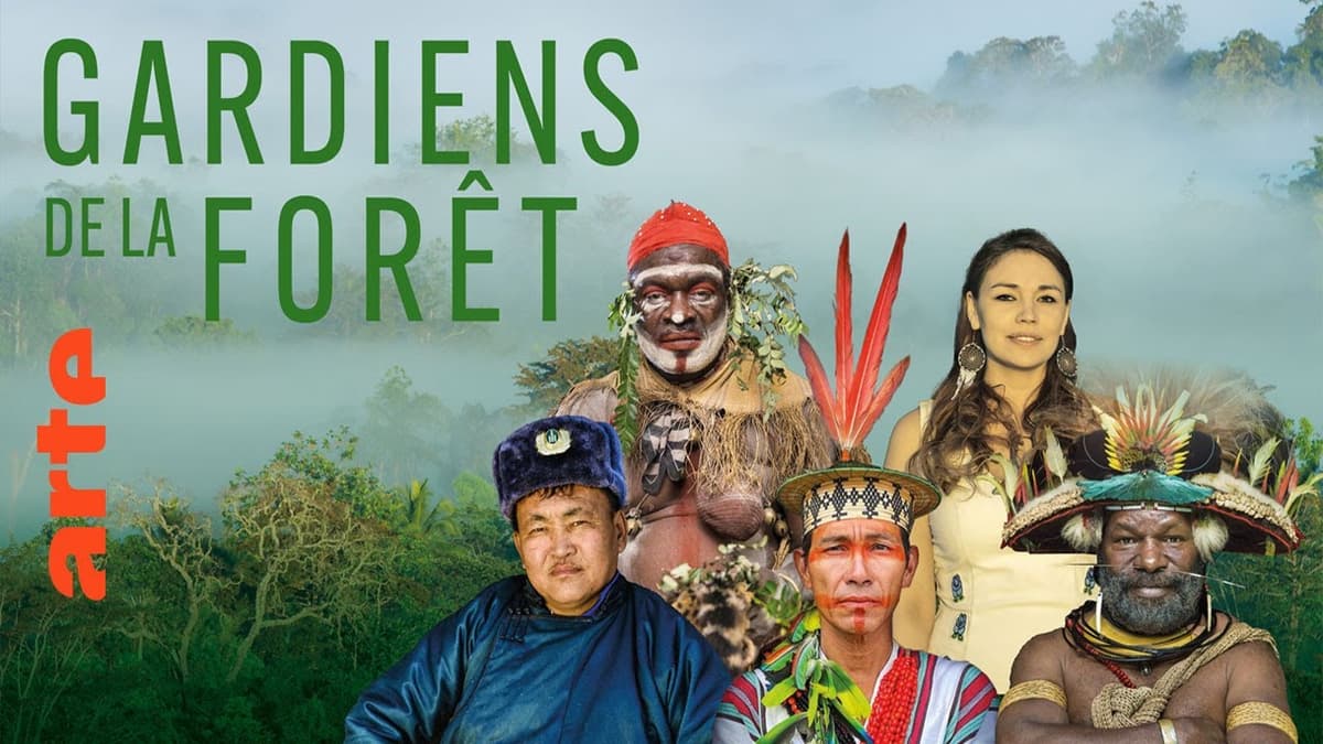 Illustration de l'événement : Docu Gardiens de la forêt – Canada, la voie des ancêtres (3/5)