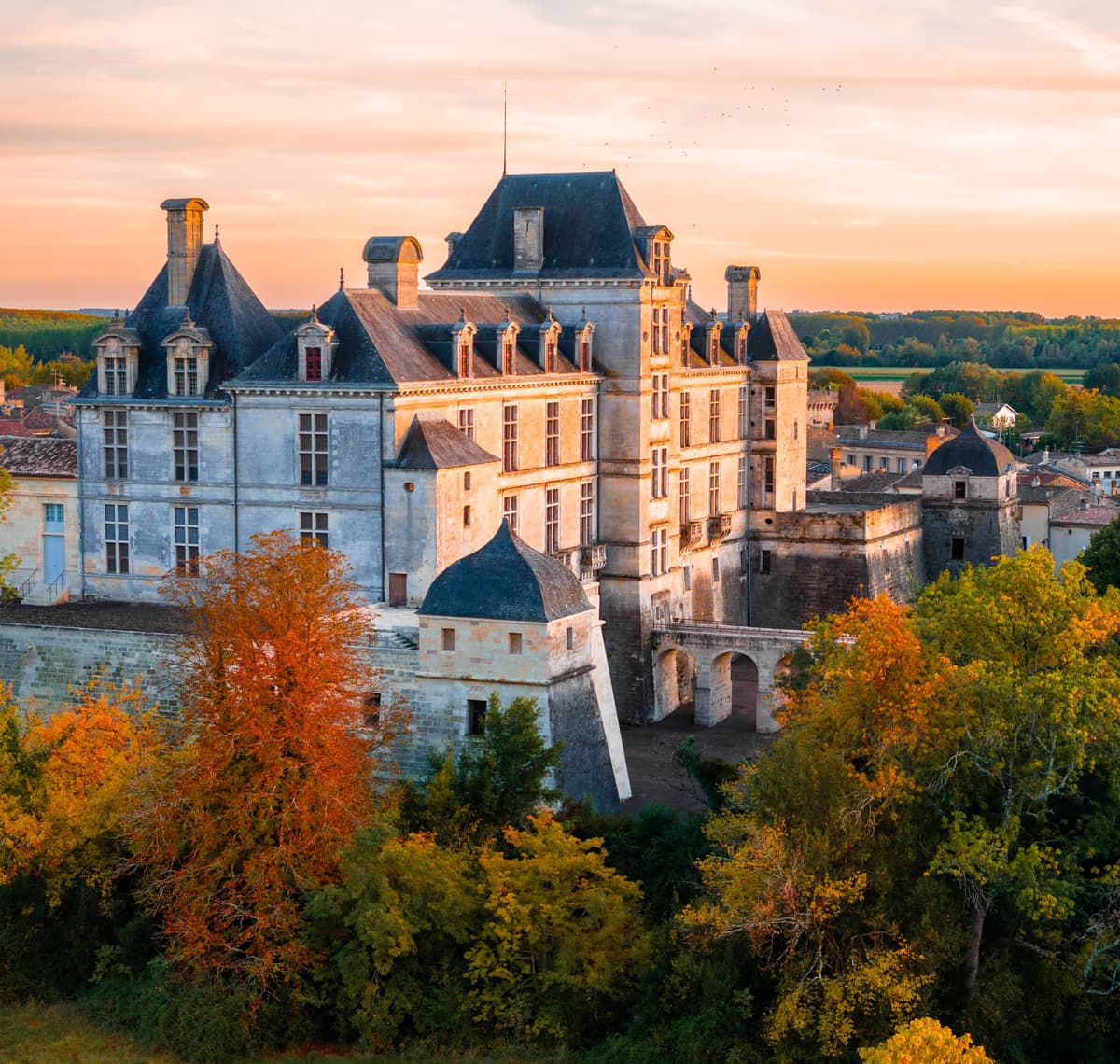 Illustration de l'événement : Visite guidée du Château Ducal de Cadillac + film