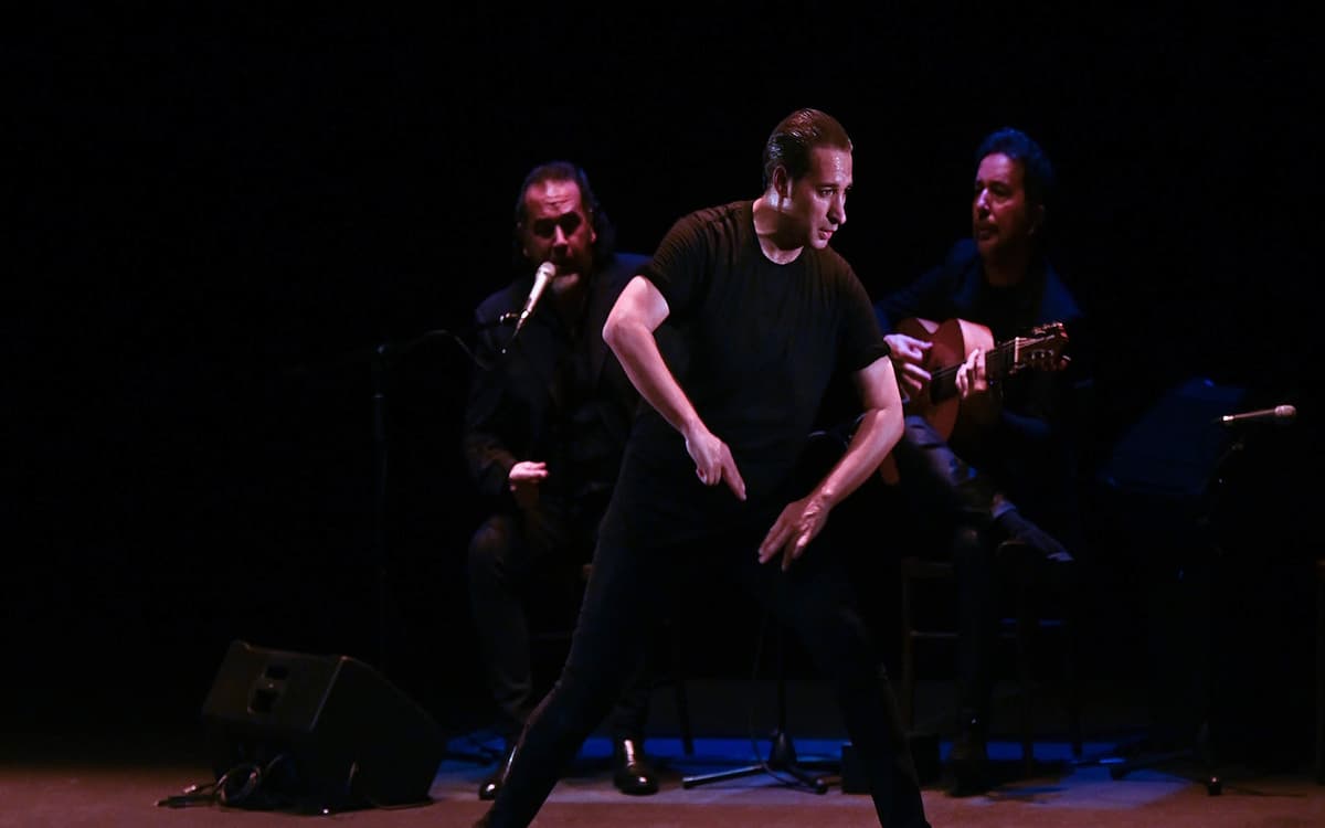 Illustration de l'événement : Spectacle de danse « Gaua » par la compagnie Ibawa