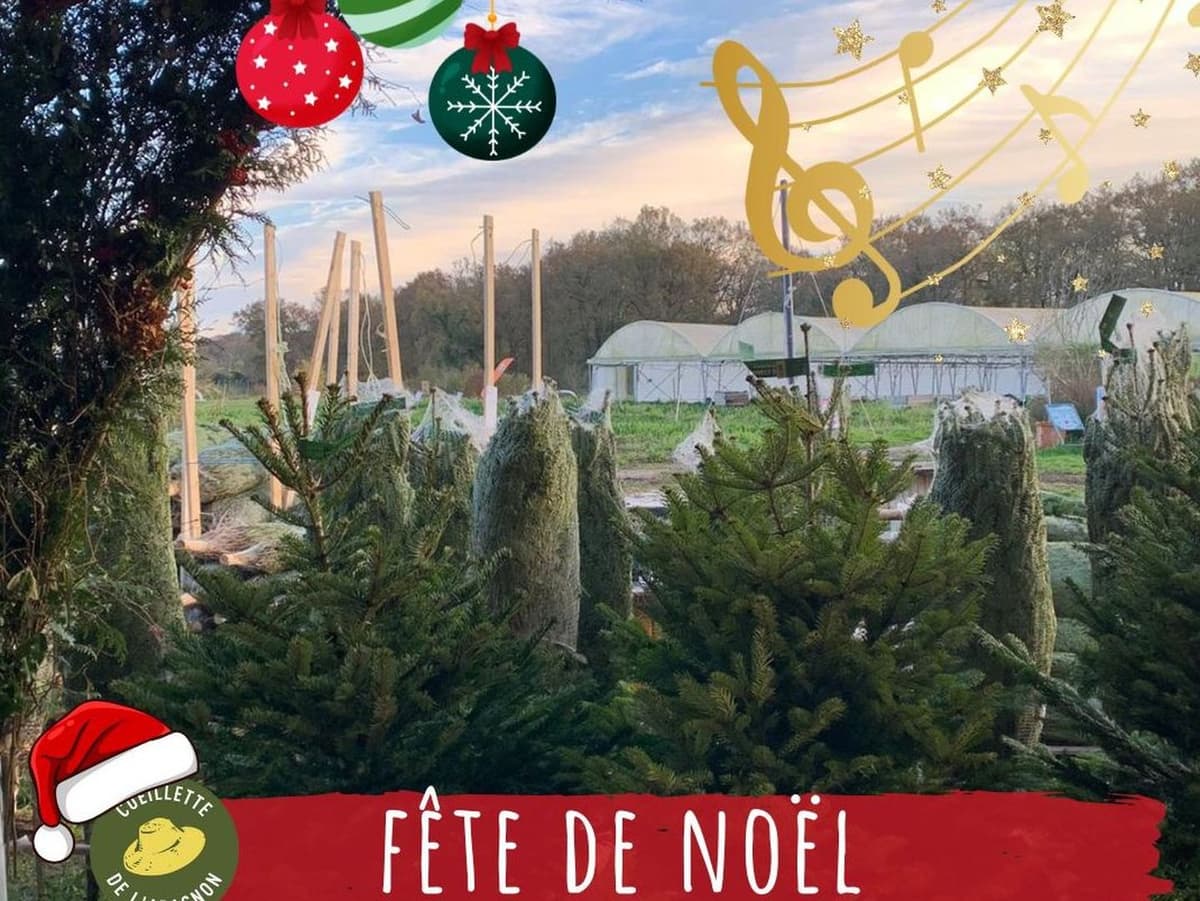 Illustration de l'événement : Marché de Noël, à la Cueillette de l'Aragnon