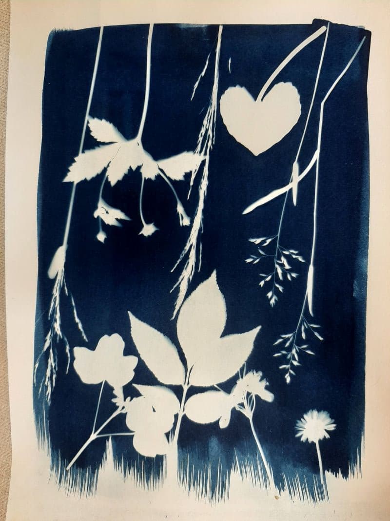 Illustration de l'événement : Mon jardin bleuté