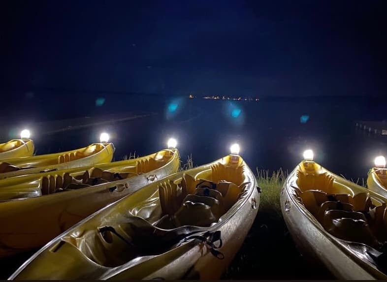 Illustration de l'événement : Nocturne en canoë