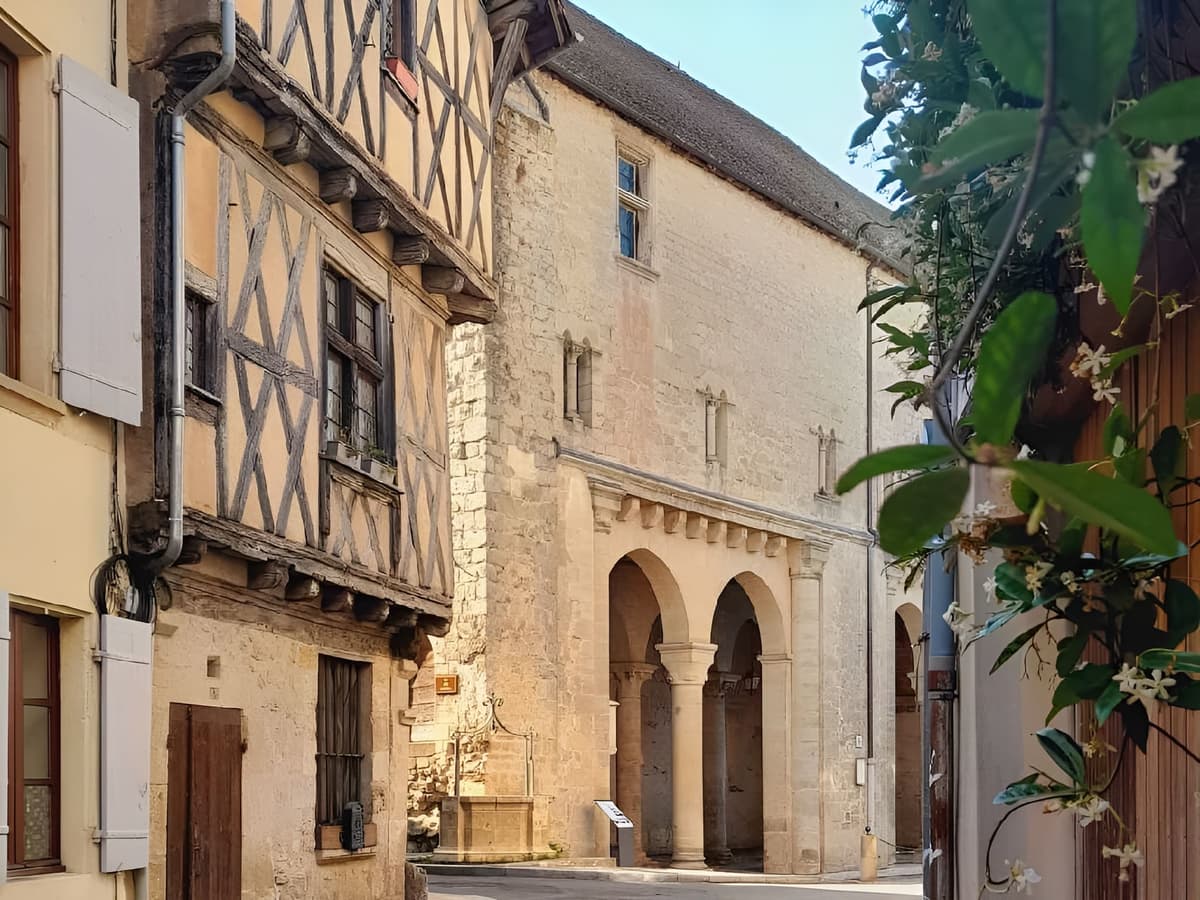 Illustration de l'événement : Journées Européennes de l’archéologie - visite des maisons médiévales de La Réole