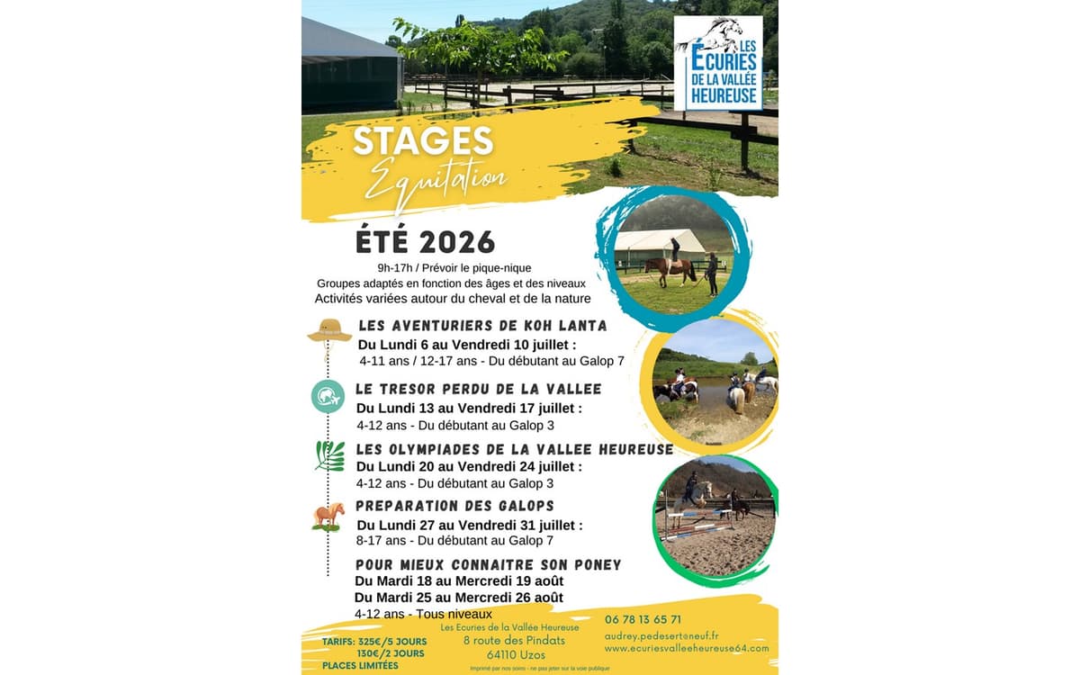 Illustration de l'événement : Stage Equitation Eté 2026