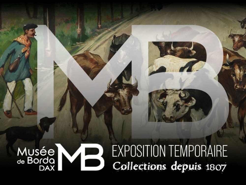 Illustration de l'événement : Nocturne au Musée de Borda