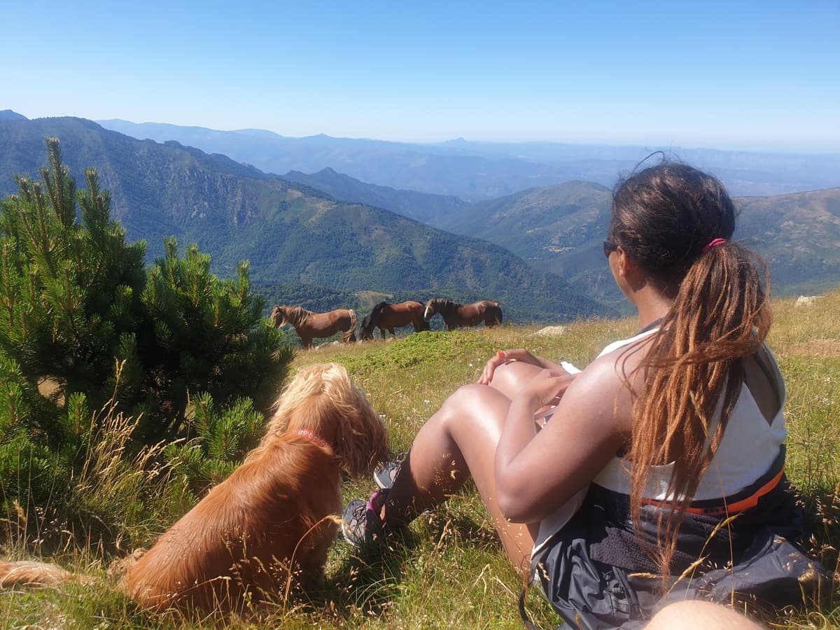 Illustration de l'événement : EXCURSION VERS LE CANIGOU EN 4X4 AVEC PASSCANIGO