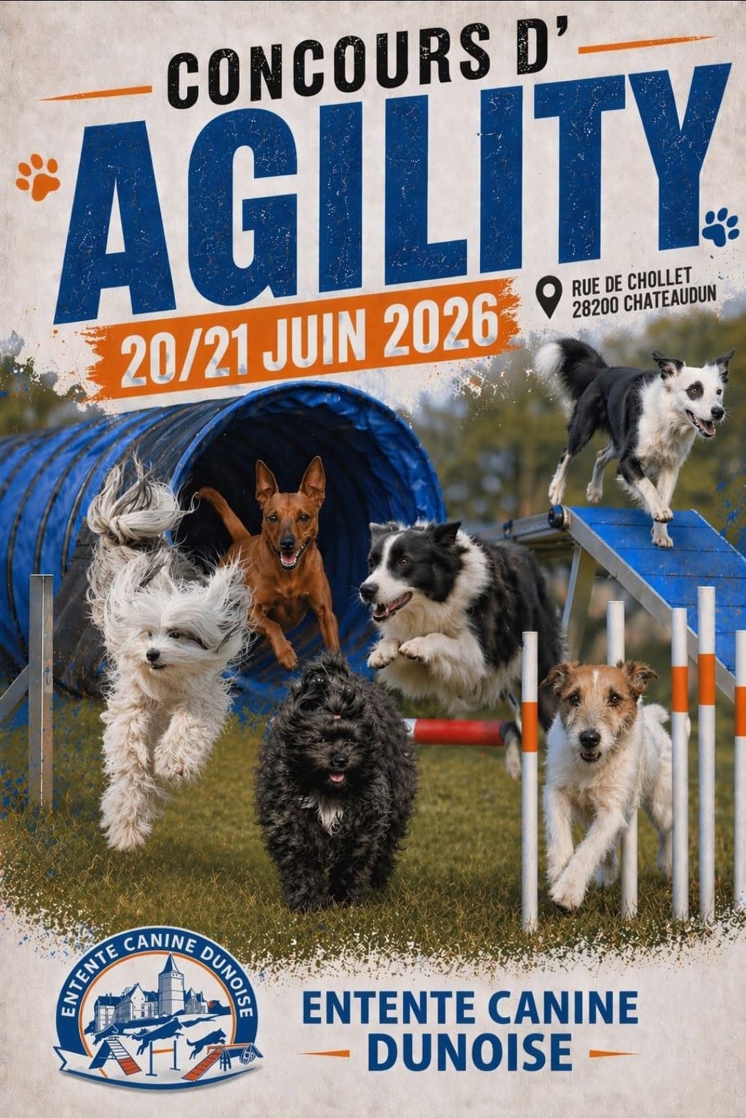 Illustration de l'événement : Concours d'Agility