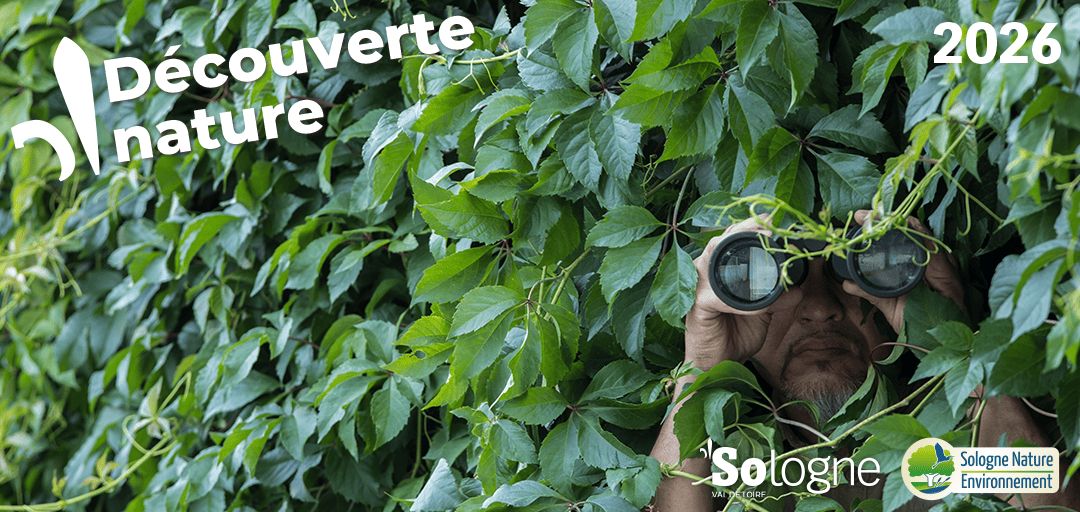 Illustration de l'événement : Découvertes Sologne Nature - En quête d'affût
