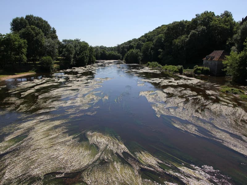 Illustration de l'événement : Trésors de rivière