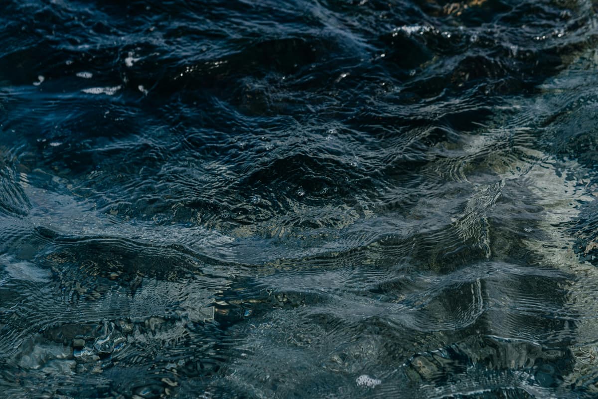 Illustration de l'événement : Exposition de photographies "Le thème de l'eau"