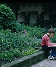 Illustration de l'événement : L’herbier du musée