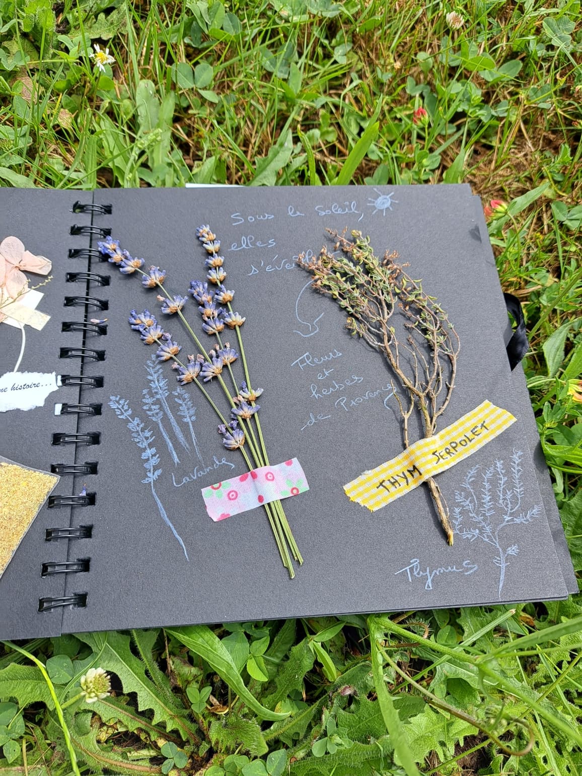 Illustration de l'événement : Création d'un carnet nature