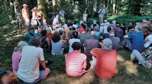 Illustration de l'événement : Concert promenade à Bibracte