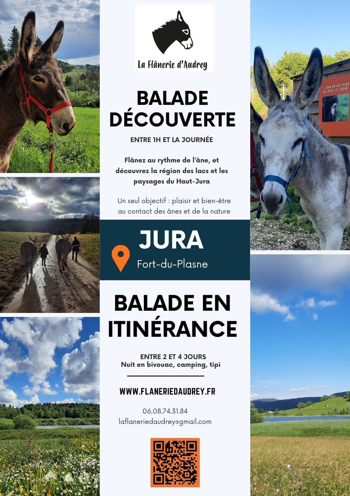 Illustration de l'événement : Balade avec les ânes
