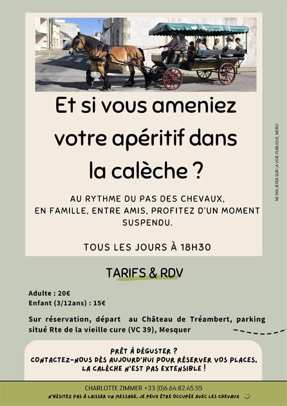 Illustration de l'événement : Balades en calèche