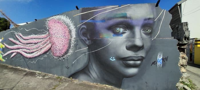 Illustration de l'événement : Visite guidée «Street art à Terre Sainte»