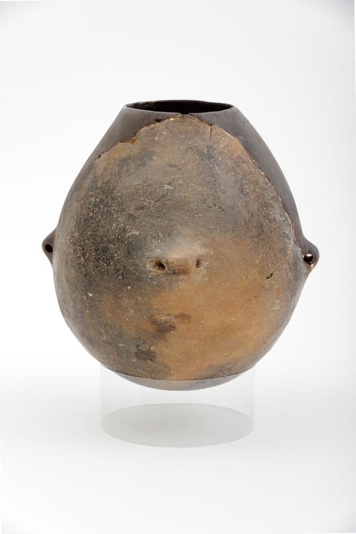 Illustration de l'événement : Visite guidée - Archéologie