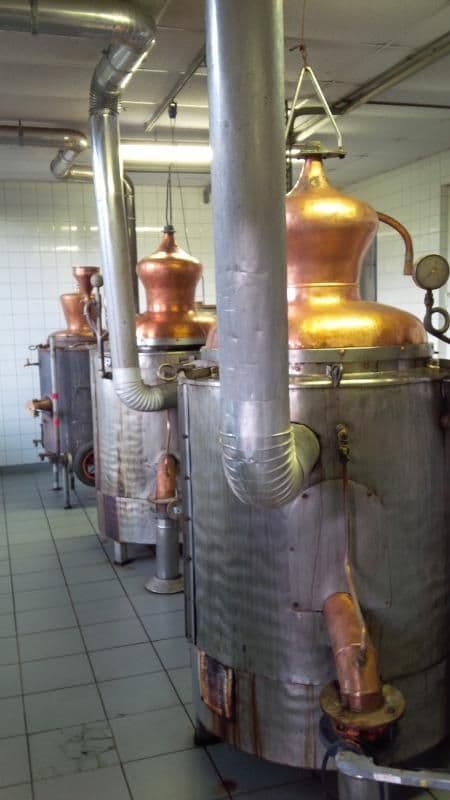 Illustration de l'événement : La distillation.