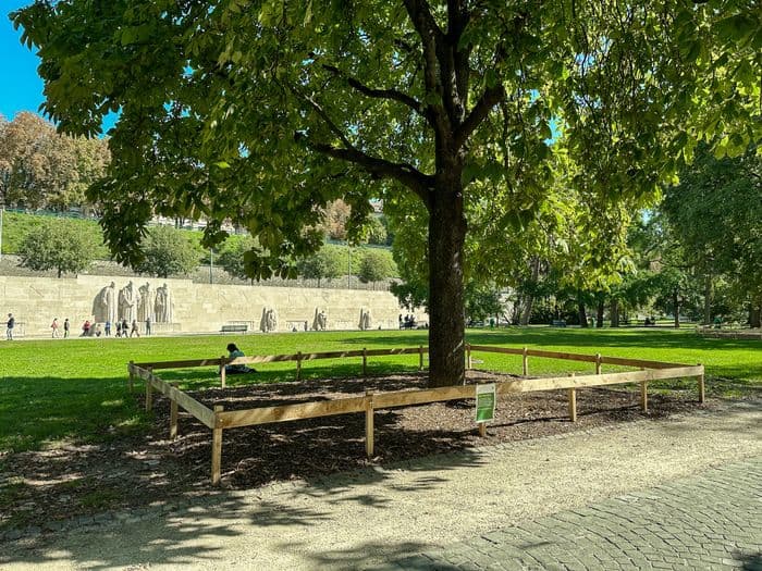 Illustration de l'événement : Le parc des Bastions : Patrimoine arboré et défis de conservation