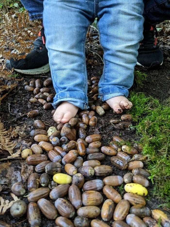 Illustration de l'événement : Eveil sensoriel à la nature pour les tout-petits