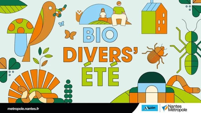 Illustration de l'événement : Biodivers’été : À l’origine des paysages, atelier archéo-botanique