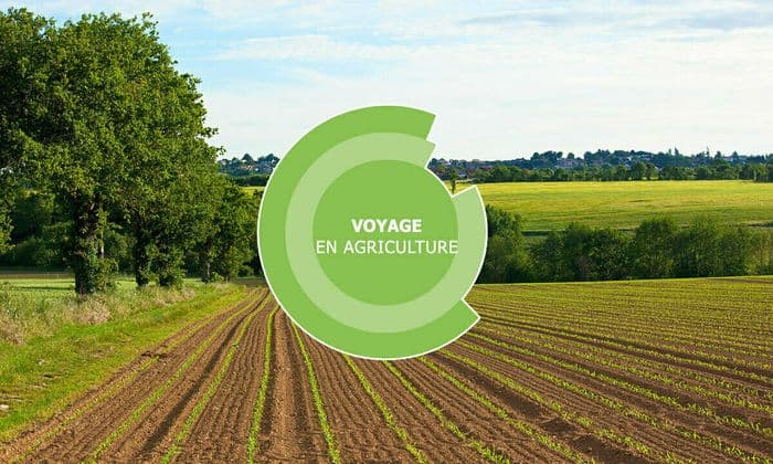 Illustration de l'événement : Voyage en agriculture - Elevage - Châteaubriant (44)