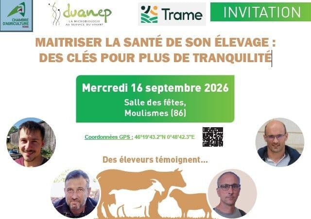 Illustration de l'événement : MAITRISER LA SANTÉ DE SON ÉLEVAGE : DES CLÉS POUR PLUS DE TRANQUILITÉ