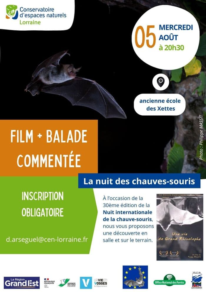 Illustration de l'événement : La nuit des chauves-souris