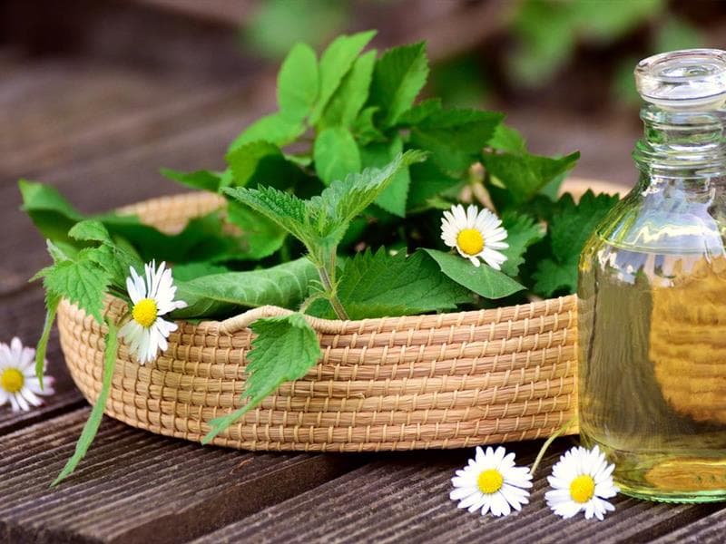 Illustration de l'événement : Atelier aromathérapie : l'art de l'équilibre entre corps et esprit